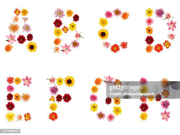xxl flower alphabet - images of letter d stock pictures, royalty-free photos & images