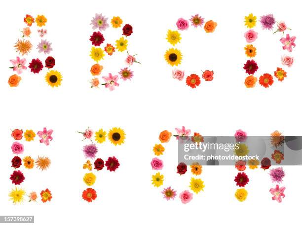 xxl flower alphabet - images of letter d stock pictures, royalty-free photos & images