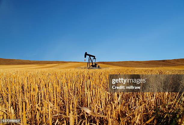 black oil well pumpjack with blue sky - oil rig alberta stock pictures, royalty-free photos & images