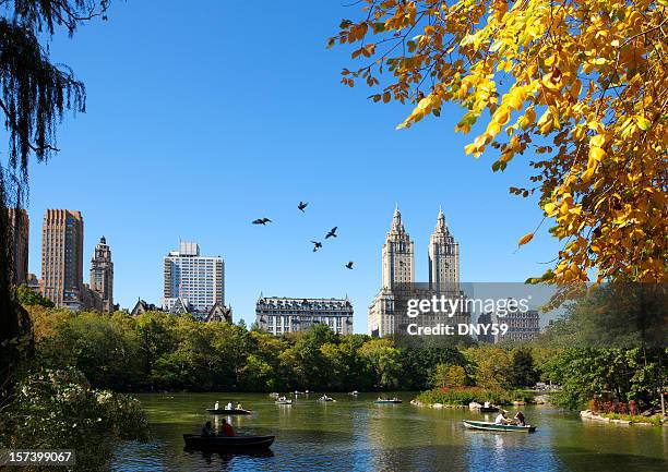 central park - manhattan autumn fotografías e imágenes de stock