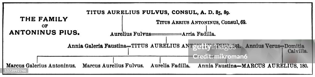 Old Engraved Diagram Of Family Tree Of The Family Antoninus Pius High ...