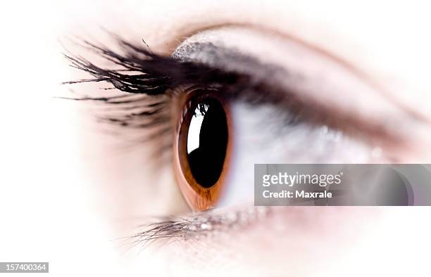 close-up image of side view of brown eye and eyelashes - close up eye side stock pictures, royalty-free photos & images