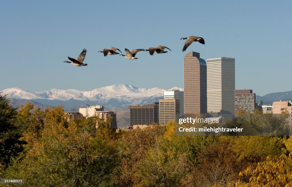 Denver Spring Fall Denver Skyline And Fall Colors High-Res Stock Photo - Getty Images