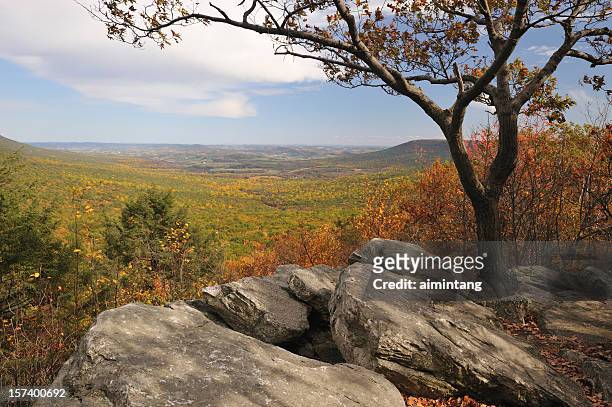 scenic view at hawk mountain - pennsylvania nature stock pictures, royalty-free photos & images