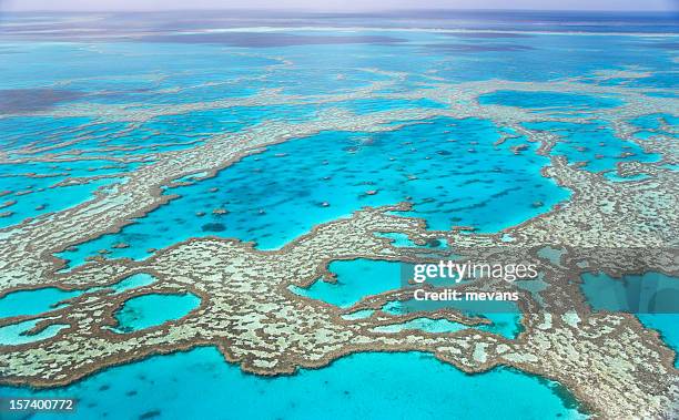 great barrier reef with blue ocean - great barrier reef stockfoto's en -beelden