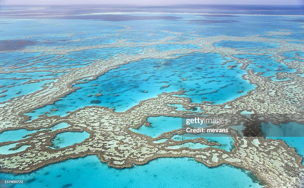 Great Barrier Reef with blue ocean