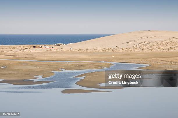 sealine deserto del qatar - qatar desert foto e immagini stock