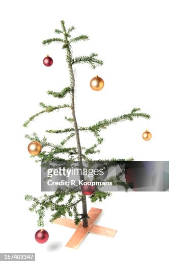 57 fotos de stock e banco de imagens de Charlie Brown Christmas Tree -  Getty Images