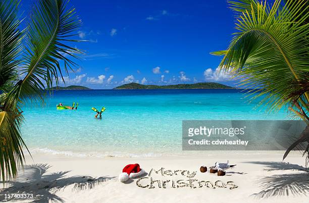 caribbean christmas - caribbean christmas 個照片及圖片檔