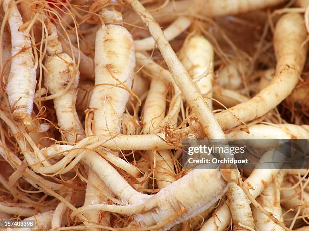 fresh ginseng roots - american ginseng stock pictures, royalty-free photos & images