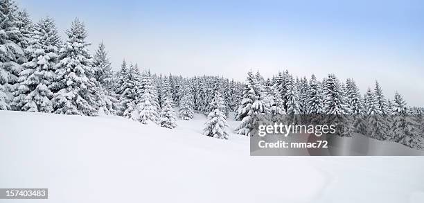 winter panorama - snowy hill stock pictures, royalty-free photos & images