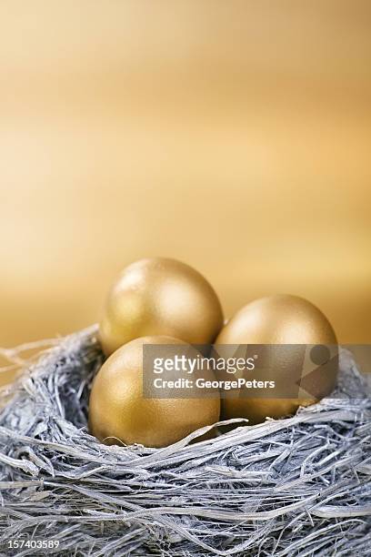 prata e ouro nest egg-expressão anglo-saxônica - nest egg expressão anglo saxônica - fotografias e filmes do acervo