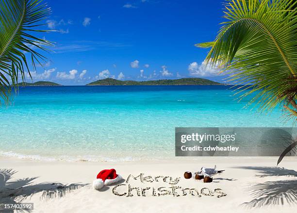 tropical christmas - christmas palm tree stock pictures, royalty-free photos & images