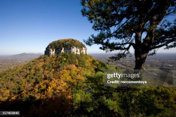 pilot mountain, winston-salem - winston-salem stock pictures, royalty-free photos & images