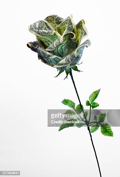 dollar rose - origami flower stock pictures, royalty-free photos & images