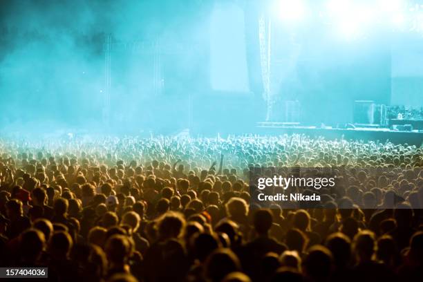 cheering crowd - rock music festival stock pictures, royalty-free photos & images