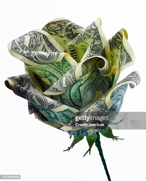dollar rose close-up - origami flower stock pictures, royalty-free photos & images