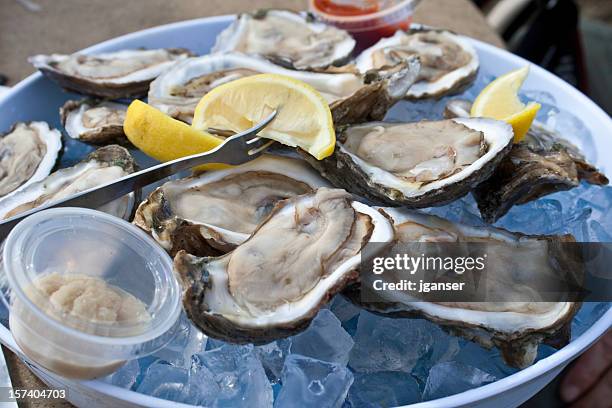 dozen raw oysters - oyster stock pictures, royalty-free photos & images