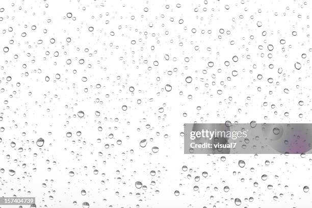 rain drops on the window - drops of water stock pictures, royalty-free photos & images