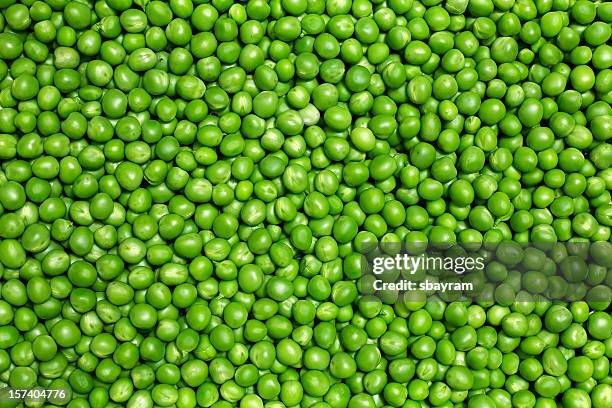 17 350点のエンドウ豆のストックフォト Getty Images 17 350点のエンドウ豆のストックフォト Getty Images