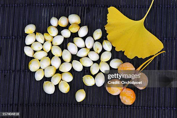 159 Ginkgo Biloba Seeds Stock Photos, High-Res Pictures, and Images ...