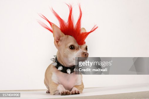 10,471 Spiky Hair Photos and Premium High Res Pictures - Getty Images