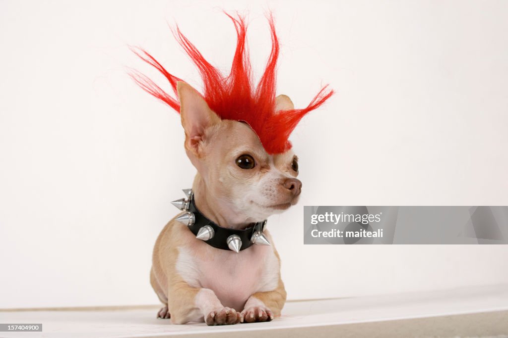 Punk