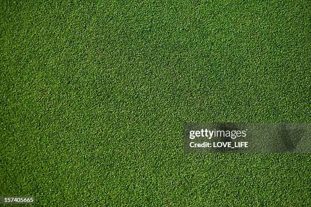 real putting green - green grass fotografías e imágenes de stock
