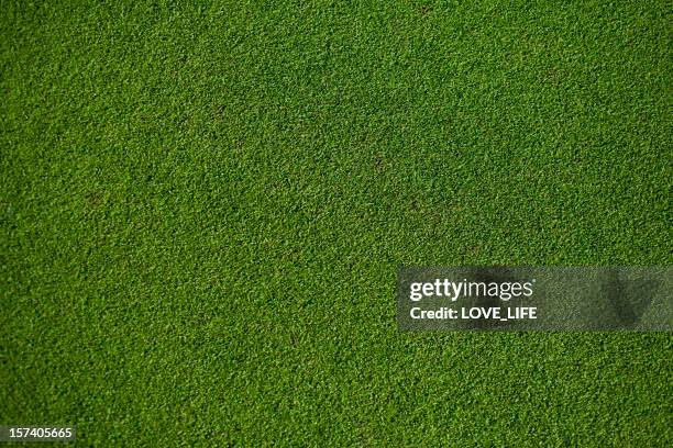 real putting green - putting green overhead stock pictures, royalty-free photos & images