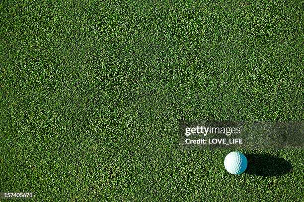 a white golf ball on pristine green grass - golfboll bildbanksfoton och bilder