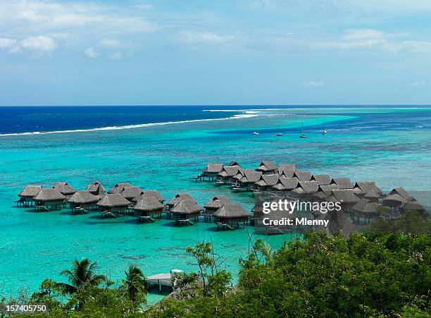bungalows in french polynesia - moorea stock pictures, royalty-free photos & images