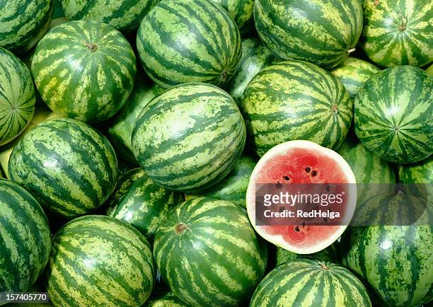 melone tapete - wassermelone stock-fotos und bilder