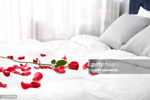 bedroom with single rose and petals on bed, copy space - red rose stock pictures, royalty-free photos & images