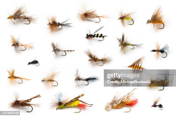 dry flies - vishaak visgerei stockfoto's en -beelden