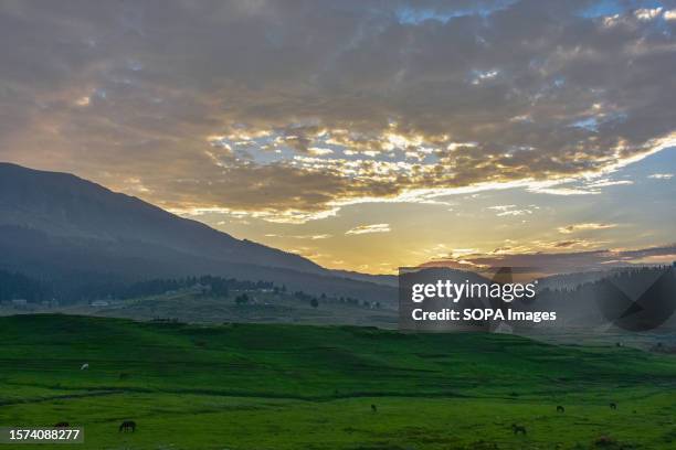 Horses graze in a field during sunset at the Gulmarg hill station, about 55kms from Srinagar, the summer capital of Jammu and Kashmir.