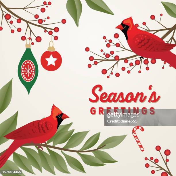 christmas background with cardinals and branches - winter cardinal stock illustrations