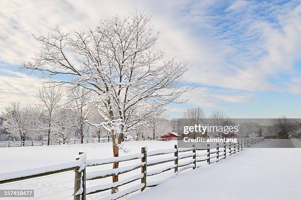 farm scenics in winter - snow trees stock pictures, royalty-free photos & images
