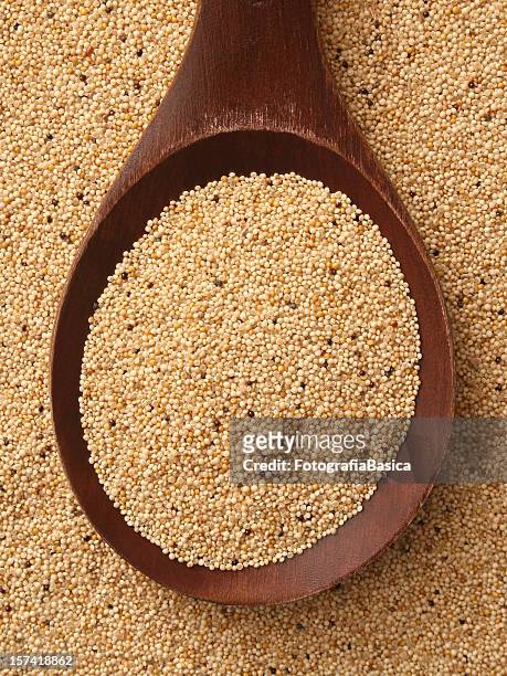 amaranth seeds - amaranthus stock pictures, royalty-free photos & images