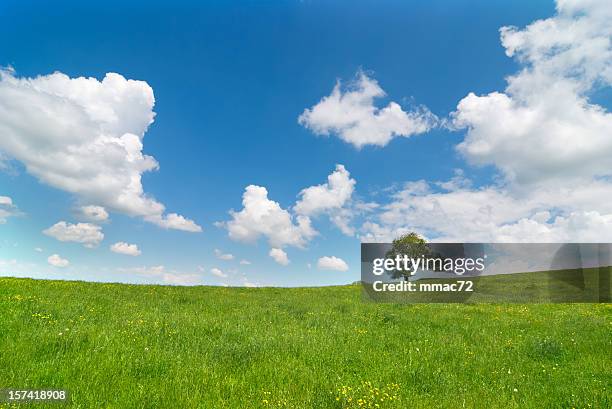 春の風景 - 草地 ストックフォトと画像