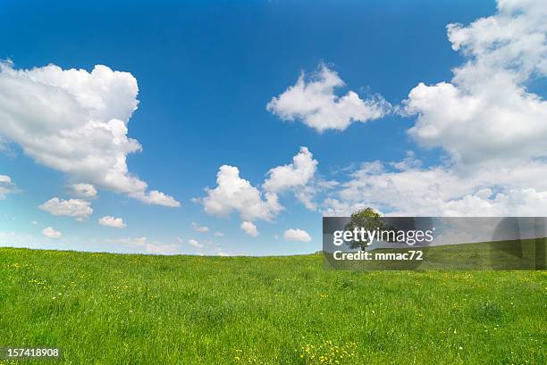 Knoll Spring 31,078 Grassy Knoll Stock Photos, High-Res Pictures, and Images - Getty ...