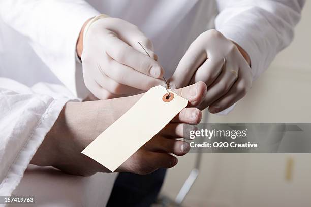 toe tag in the morgue - begrafenisondernemer stockfoto's en -beelden