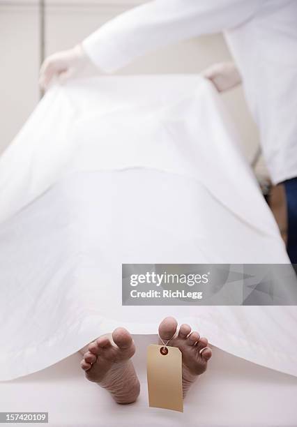 dead body - morgue feet stockfoto's en -beelden