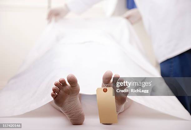 dead body - morgue feet stock pictures, royalty-free photos & images