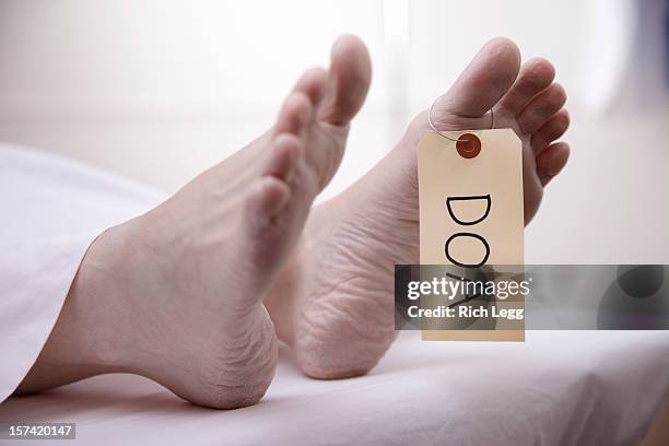 dead body - morgue feet stock pictures, royalty-free photos & images