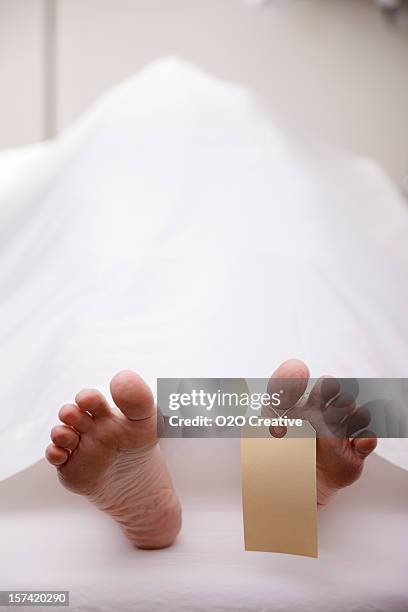 dead body in morgue - morgue feet stock pictures, royalty-free photos & images