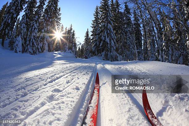 esquí nórdico en oslo, noruega - esquíes de fondo fotografías e imágenes de stock