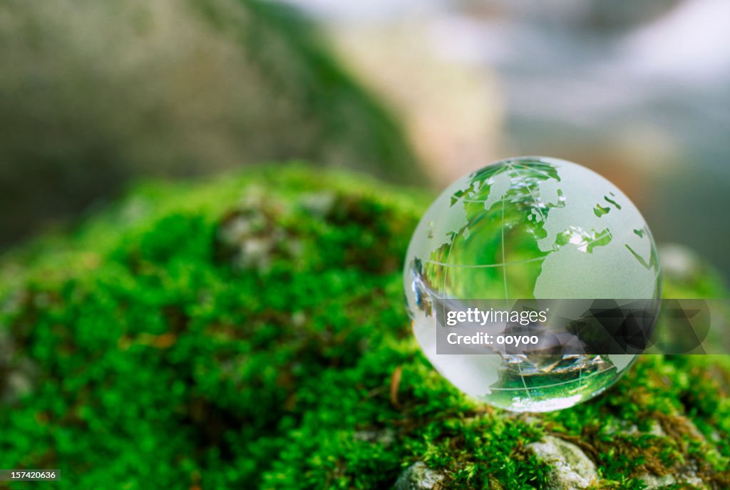 Globe on a moss rock