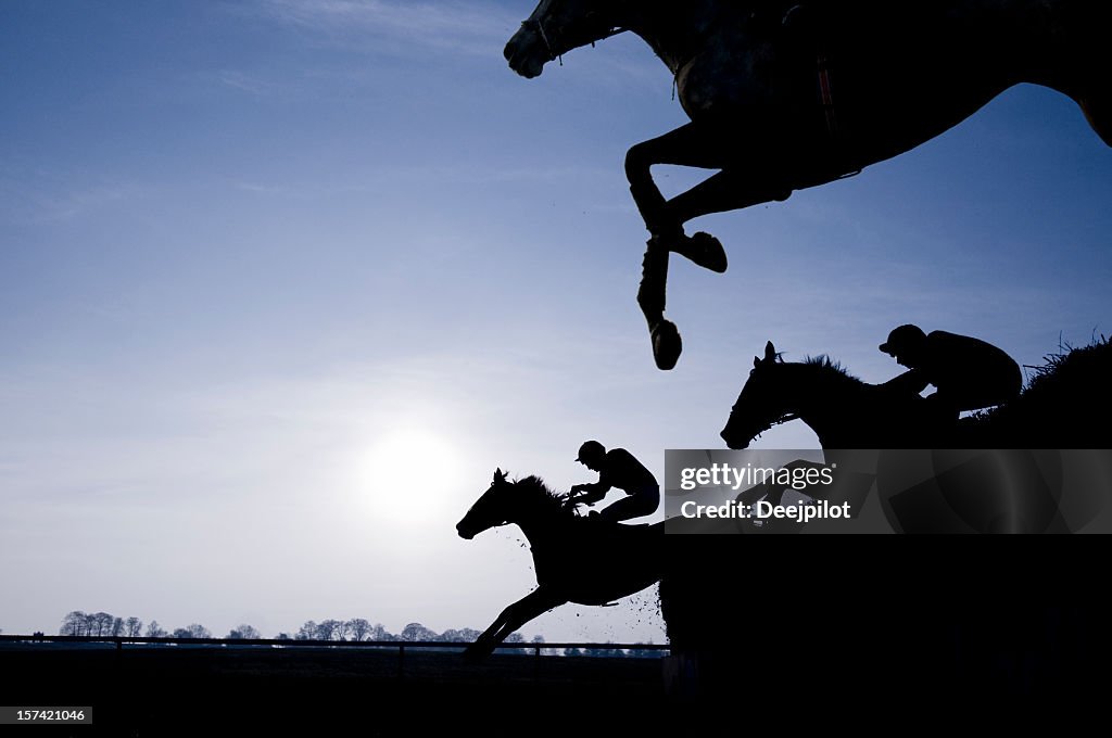 Silhouette von Rennpferden springen einen Zaun