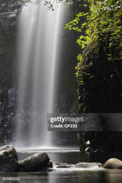 tropical waterfall - waterfall figi stock pictures, royalty-free photos & images