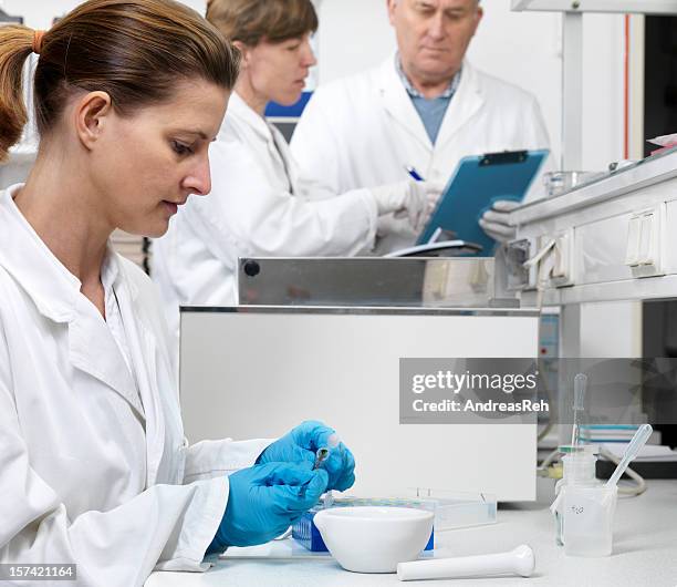 preparing samples - mortar and pestle stock pictures, royalty-free photos & images
